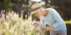 Senior woman looking at flowers in the garden